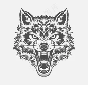 狼头线描矢量图片
