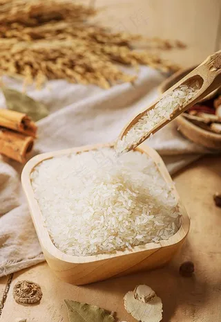 大米 东北大米图片