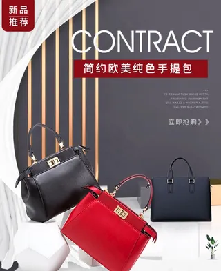 欧美大气唯美简约风格女包设计图片