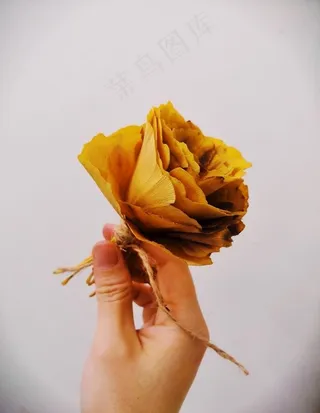 银杏叶玫瑰花手机壁纸图片