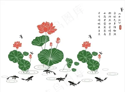 荷花鲤鱼图图片