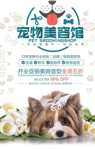 宠物美容图片