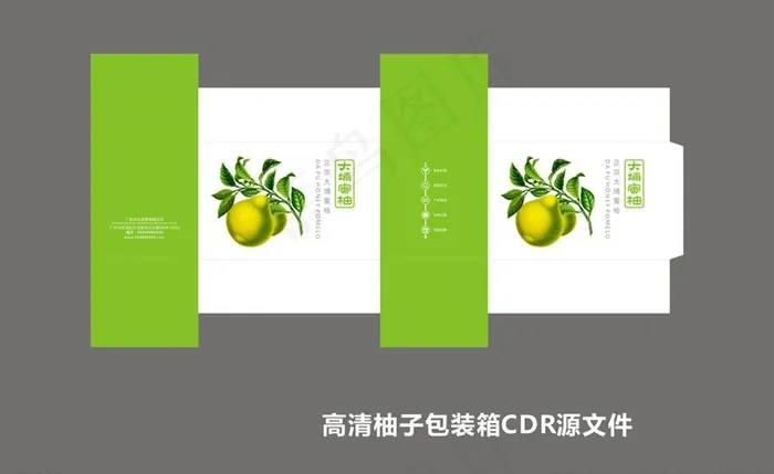 手绘柚子包装设计素材图片cdr矢量模版下载