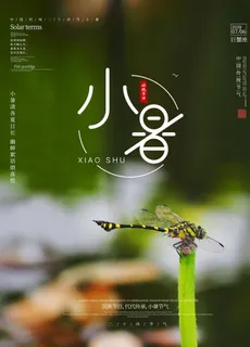 小暑海报图片