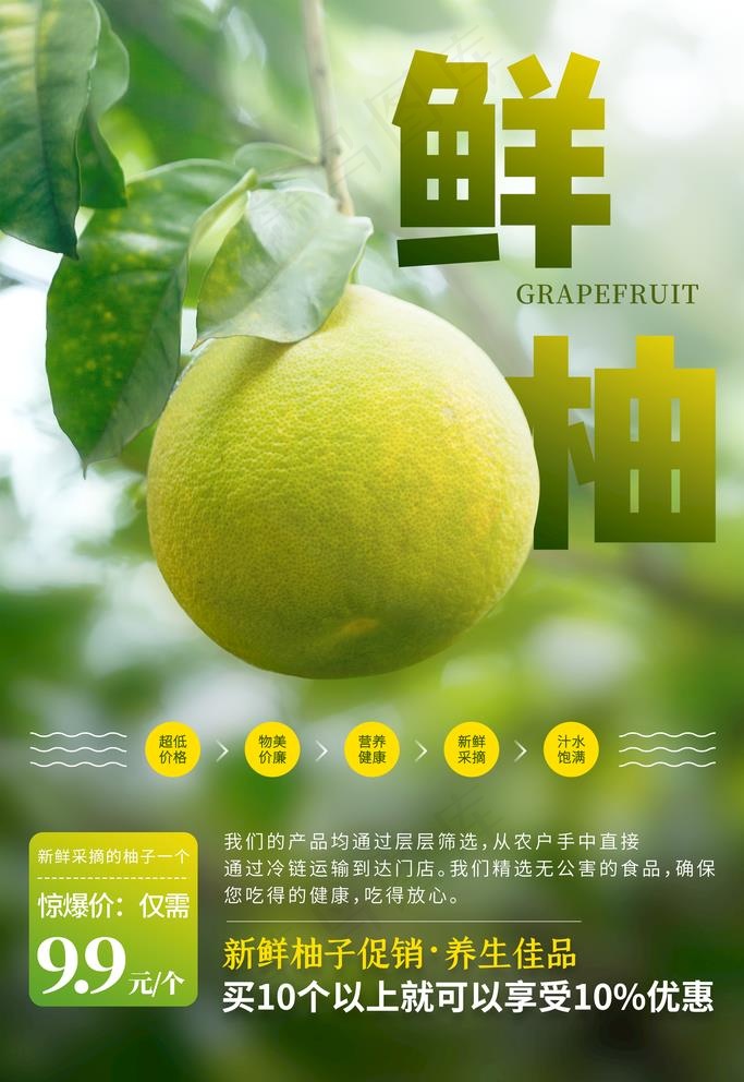 柚子图片(2480X3720(DPI:300))psd模版下载