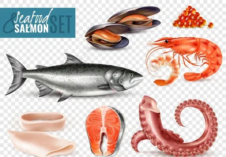 海产品贝壳类海鲜图片