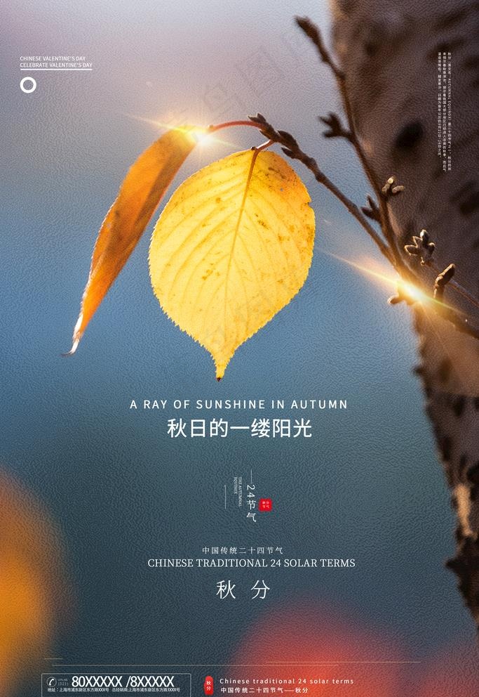 秋分图片(3543X5315(DPI:300))psd模版下载