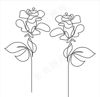 矢量花线条图片