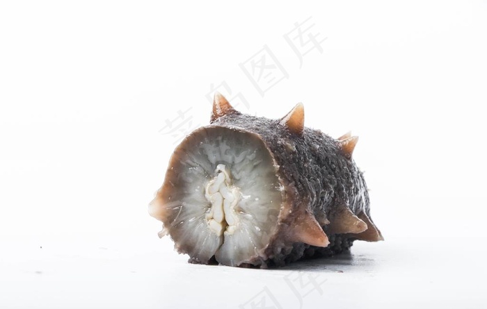 即食海参细节图片