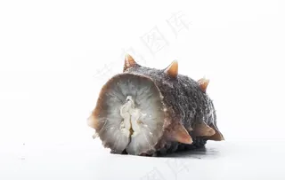 即食海参细节图片
