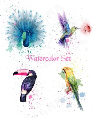 水彩鸟图片