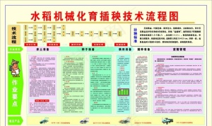 水稻机械化育插秧技术流程图图片