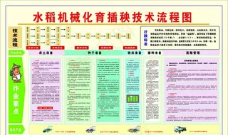 水稻机械化育插秧技术流程图图片