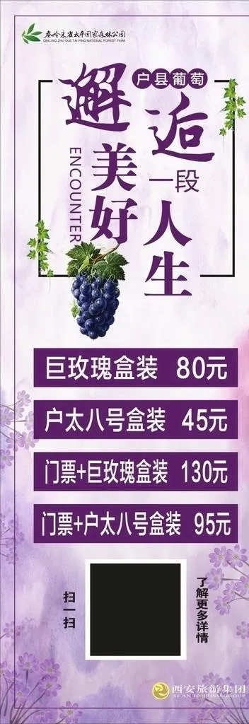 户太葡萄展架图片(210X297)cdr矢量模版下载
