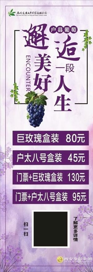 户太葡萄展架图片