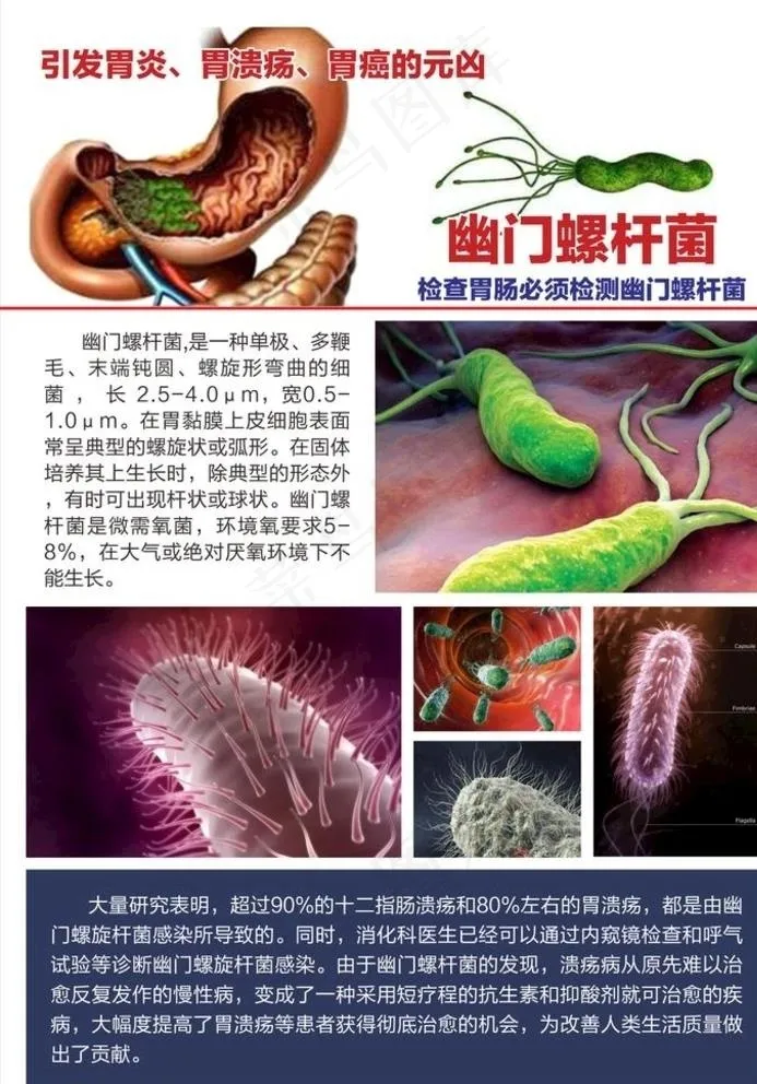 幽门螺杆菌宣传单页图片cdr矢量模版下载