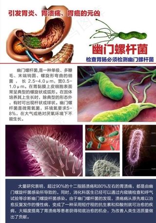 幽门螺杆菌宣传单页图片