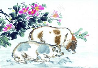 十二生肖-猪水墨画图片