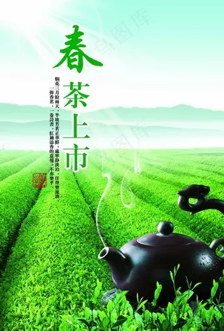 新茶上市图片