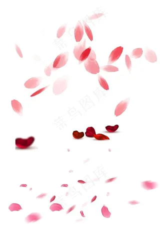 花瓣素材图片