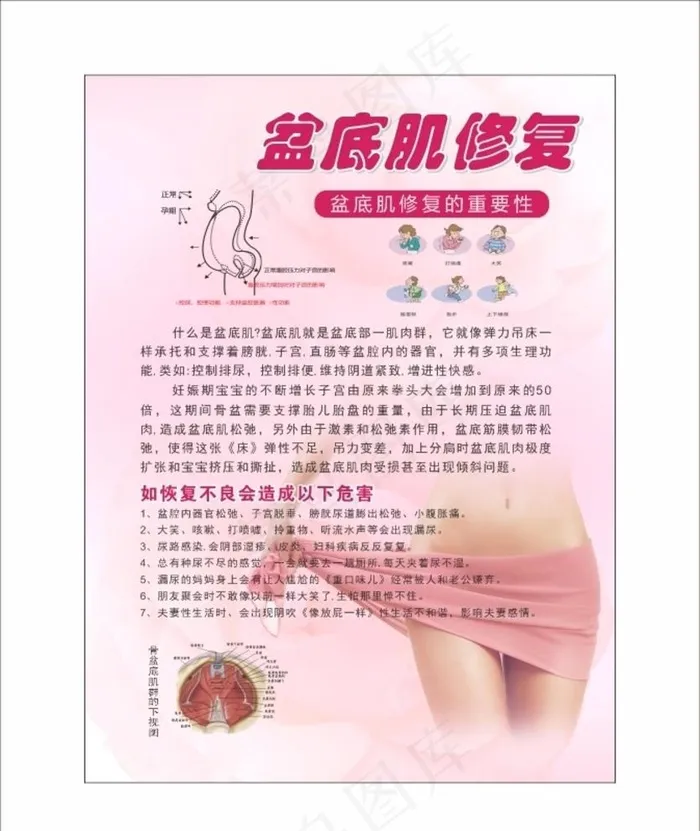 盆底肌修复图片cdr矢量模版下载