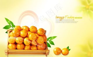 柑橘海报图片