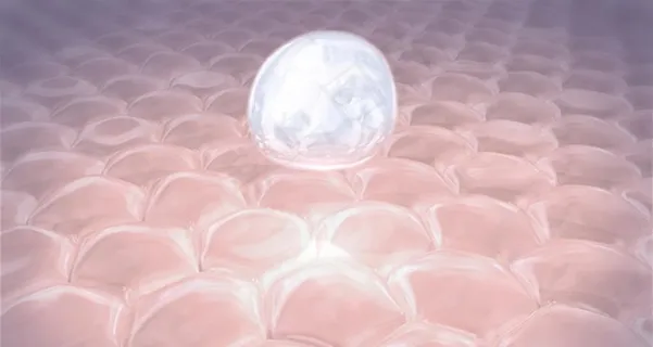 细胞图片 细胞图片