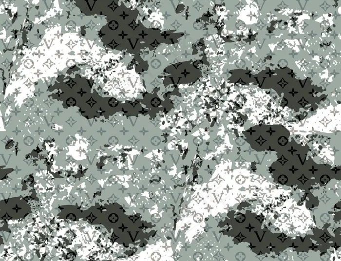 lv迷彩图片