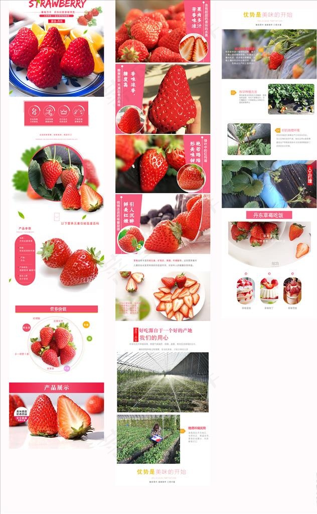 草莓详情页图片(790X10275(DPI:72))psd模版下载