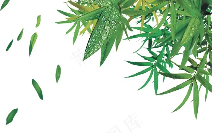 竹叶图片psd模版下载
