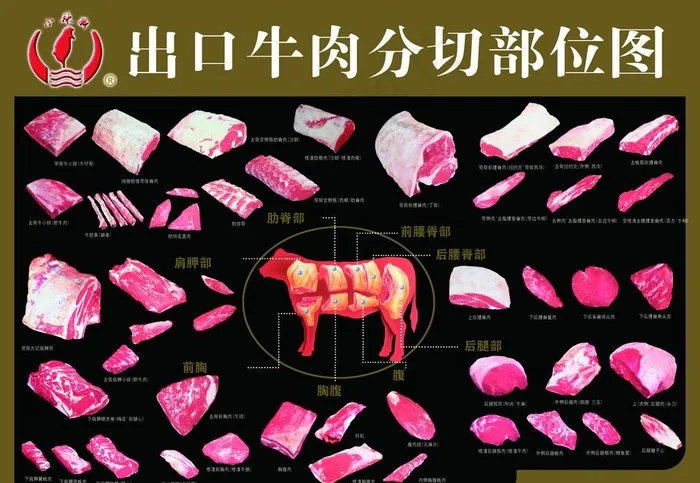 牛肉分割图图片(3819X2756(DPI:100))psd模版下载