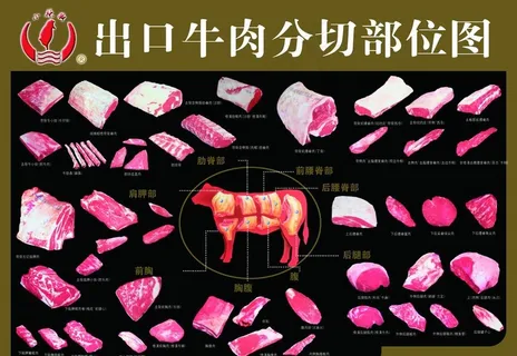 牛肉分割图图片