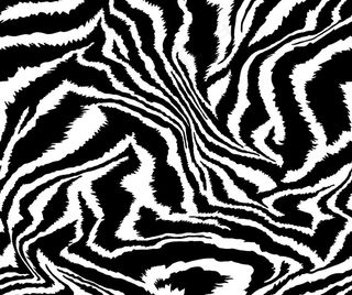 斑马纹图片
