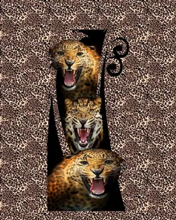 男装数码T恤图片