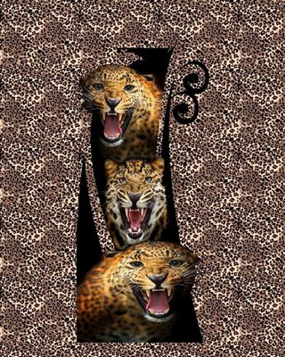 男装数码T恤图片