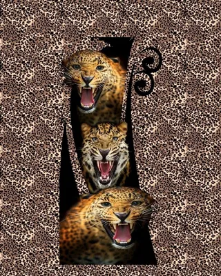 男装数码T恤图片