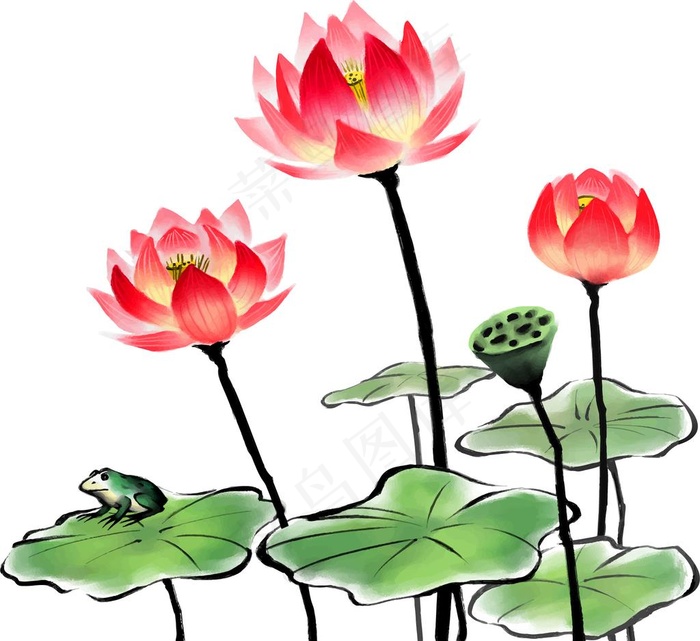 荷花素材图片