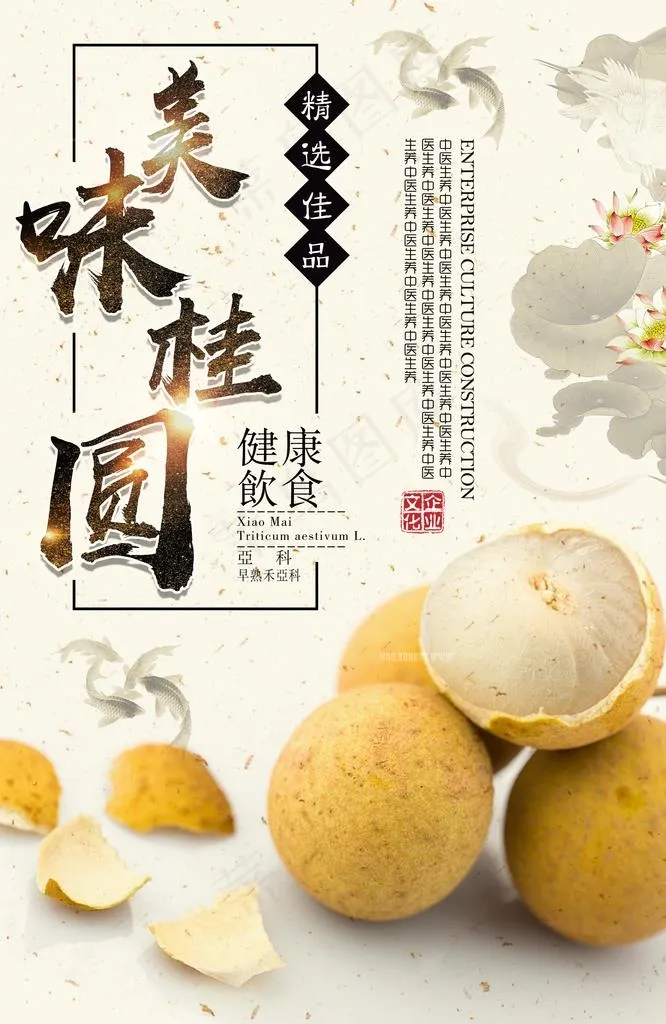 桂圆图片