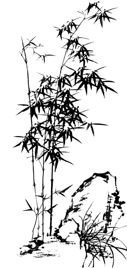 水墨竹子画 中国画图片