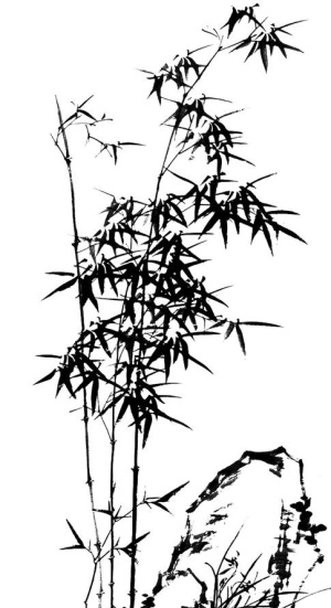 水墨竹子画 中国画图片