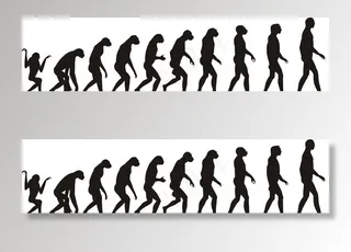 人类进化过程图片