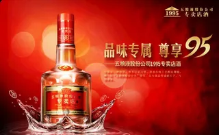 五粮液1995专卖店酒图片