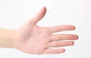 巴掌图片
