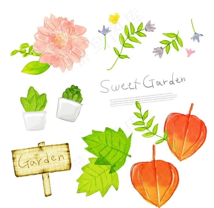 植物图片psd模版下载