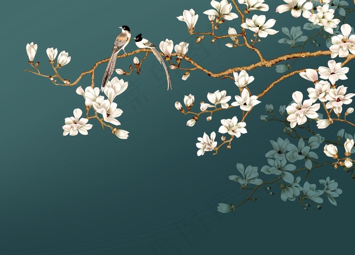 中式花鸟图片