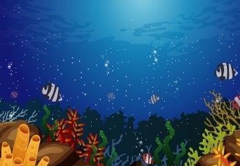 海底世界图片ai矢量模版下载
