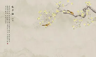 新中式背景墙图片