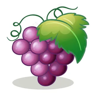 矢量卡通葡萄图片