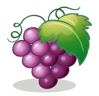 矢量卡通葡萄图片