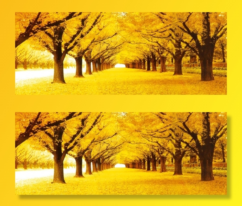 黄金满地图片(7087X2992(DPI:200))psd模版下载